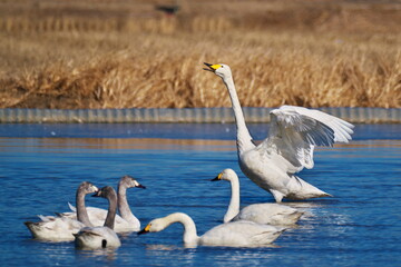 飛来地での休息