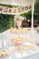 Baby birthday. French macaroons on a cake stand .Candy bar with macaron, cakes, cheesecakes, cake pops.