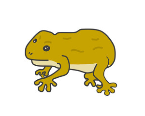 Clip art of brown frog