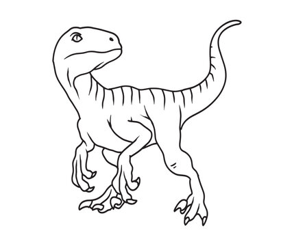 Editable vector hand drawing illustration of Velociraptor. kids coloring page and coloring book 