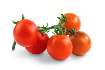red round tomatoes on a branch, isolate on a white background