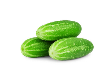 fresh green cucumber with pimples and a flower, isolated