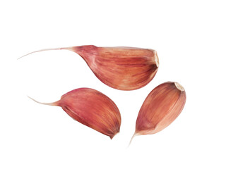 slices of fresh garlic, isolate on a white background