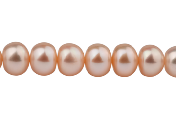 two strings of natural pink pearls, beads, isolate on a black background