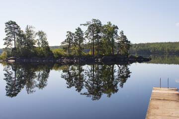 Obraz premium lake and forest