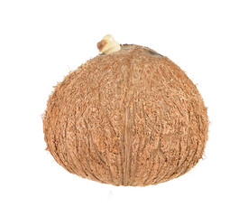 coconut closeup on transparent png