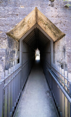 castle door with metal railing
