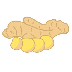 ginger spice herb hand drawn