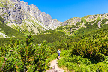 Fototapeta na wymiar Woman tourist hiking in Hinczowa valley on sunny summer day, High Tatra Mountains, Slovakia