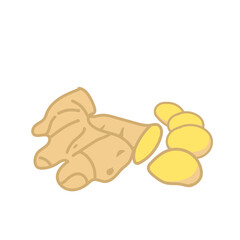 ginger spice herb hand drawn