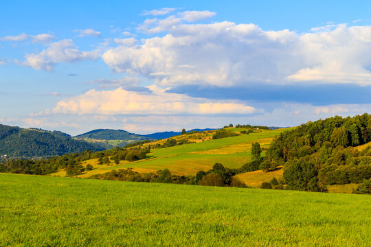 Green hills of Beskidy Mountains at sunset near Zywiec , Poland