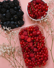 plates with berries on a pink background