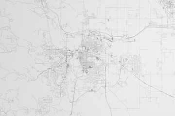 Map of the streets of Rapid City (South Dakota, USA) on white background. 3d render, illustration