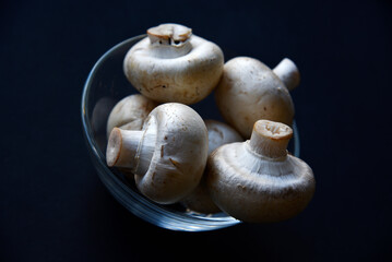 Porcini mushrooms in a white plate on a black background. Fruits of large white champignons close-up. Beautiful mushrooms in a plate.