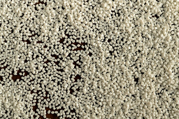 Close-up of plastic polymer granules, hand hold Polymer pellet, polymer plastic, compound polymer, Technology product of plastic chemical, green polymer, resin from petrochemical,