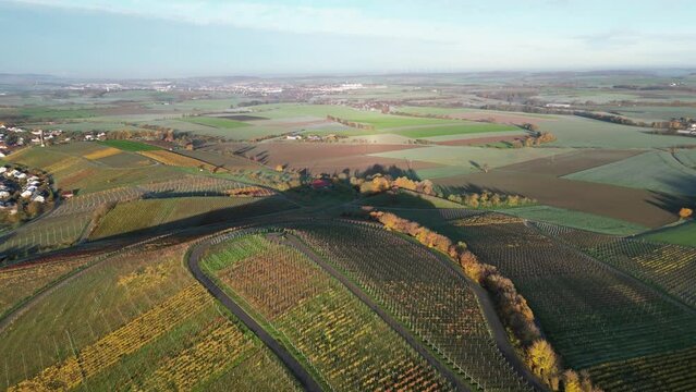 Luftaufnahme der herbstlichen Weinberge bei Öhringen
