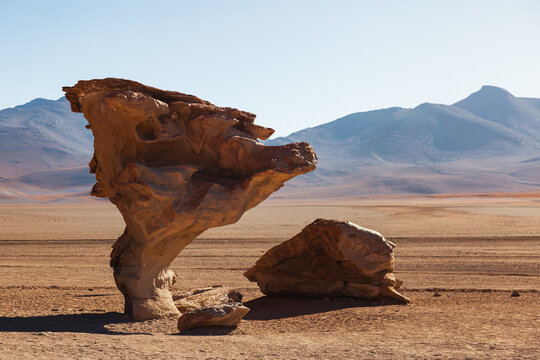 The famous Arbol de Piedra or Stone Tree in the Eduardo Avaroa Andean Fauna National Reserve, Bolivia