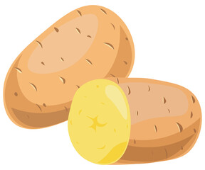  potato isolated on white