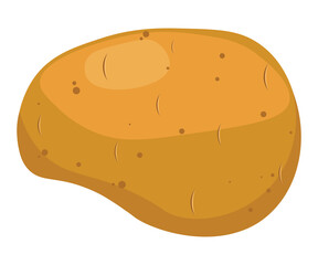  potato isolated on white