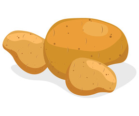  potato isolated on white