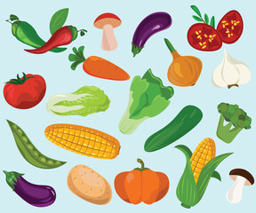 collection of vegetables