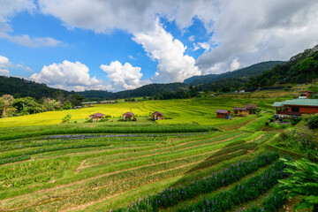Fototapeta na wymiar Scenery of rice terraces with homestay at Mae Klang Luang village