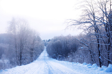 The forest is covered with snow. Frost and snowfall in the park. Winter snowy frosty landscape.