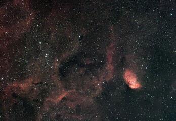 tulip nebula 