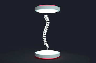 3D Realistic human spine backbone and vertebral column anatomy scoliosis concept