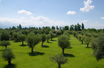 Mendoza, Argentina - 2015