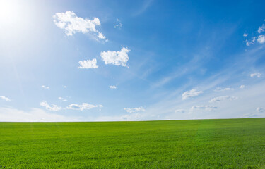 Fototapeta na wymiar Empty clean grassy field and blue sky at sunny day