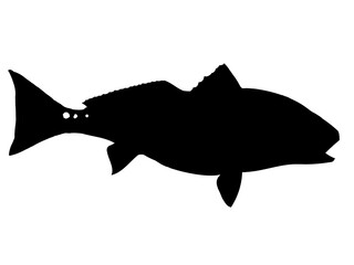 Redfish Silhouette
