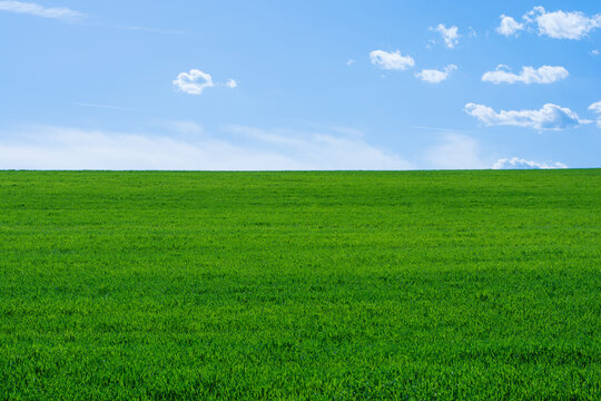 Empty clean grassy field and blue sky at sunny day