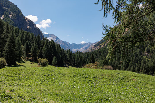 Mountain Range of the Italian Alps on a Sunny Summer Day- view of the Green Meadow and Blue Sky