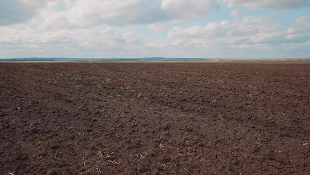 Agricultural landscape arable field. business agriculture concept. walk on brown black soil arable a land. preparation for sowing crops in sky agriculture landscape motion steadicam. farming field