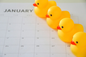 Top view of four yellow rubber ducks in a row on top of January calendar in the background,...