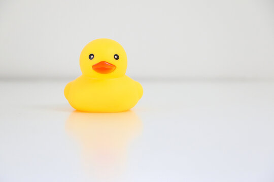A single squeaky clean yellow rubber duck on left, copy space on the right