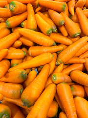 Lots of raw carrots close up at the market. Fresh organic vegetables in the supermarket. Harvest concept