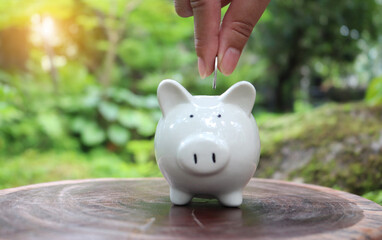 Save money : male hand putting a coin into piggy bank. Piggy bank saving concept. Save money for...