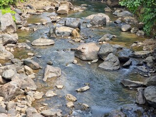 small river in the forest in kerala, India. 