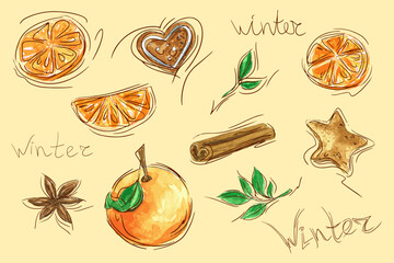 Drawn set of oranges. Sketch. Holidays. Cookies. Vector watercolor. Orange. New Year. Christmas. Decor elements. Citrus.
