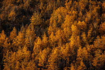 Fototapeta premium Parc du pilat en France à l'automne