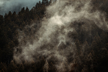 Parc du pilat en France à l'automne