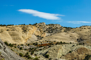 Fototapeta na wymiar rocky hill with small shrubs in the Utah desert