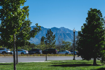 Fototapeta premium Grassy park view on a sunny day. High-quality photo