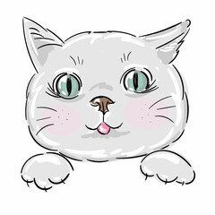 Cute baby grey cat face, kitten head on white isolated background illustration vector.