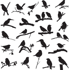 Bird and twig silhouettes