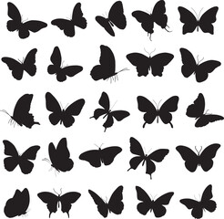 Papillon silhouette, mariposa butterfly wing,  and butterflies isolated