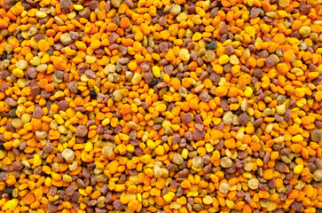 Background of grains of bee pollen, texture, top view. Heap of bee pollen, background, texture, top view. Multicolored bee pollen, background, texture, top view. Natural cure for the flu.