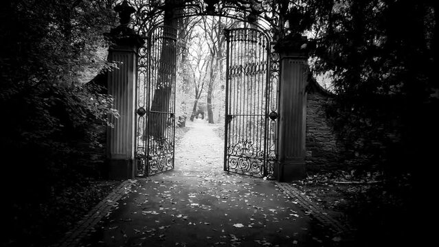 Mysterious gate to the magical forest. Halloween.